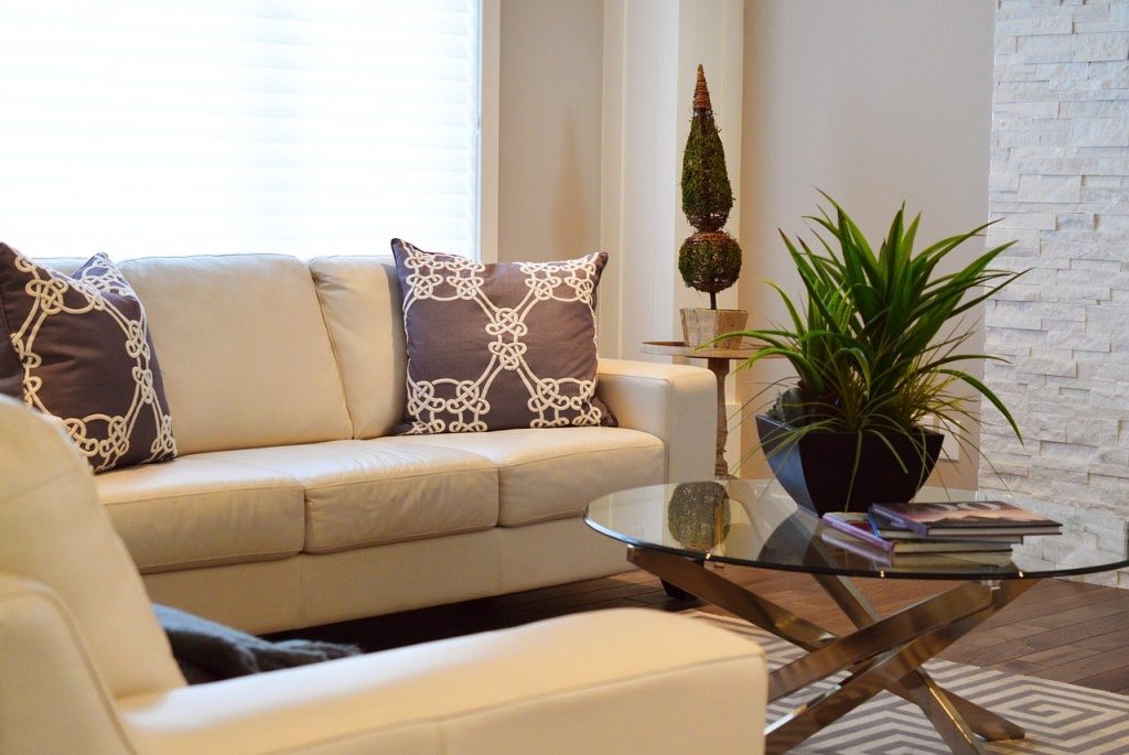 living room plant couch table pillows